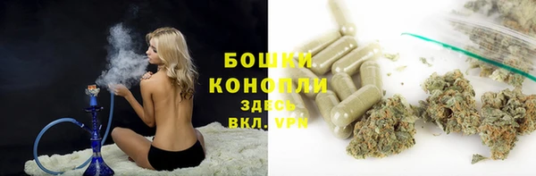 ГАЛЛЮЦИНОГЕННЫЕ ГРИБЫ Абинск