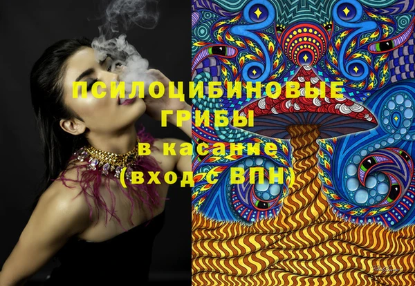 ГАЛЛЮЦИНОГЕННЫЕ ГРИБЫ Абинск